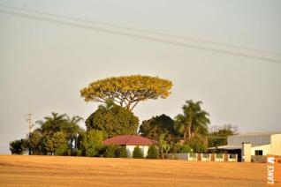 Colorado/Bom Princpio vence e se classifica aos cruzamentos olmpicos